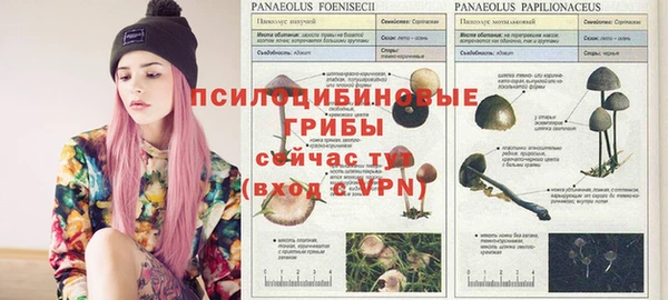 герыч Алзамай