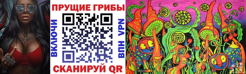 blacksprut ссылки Костерёво Галлюциногенные грибы прущие грибы